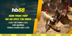 67 Xem truc tiep da ga cpc3 tai HB88 Giai tri dinh cao voi nhung tran chien nay lua