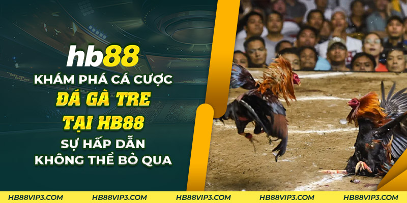 68 Kham pha ca cuoc da ga tre tai HB88 Su hap dan khong the bo qua