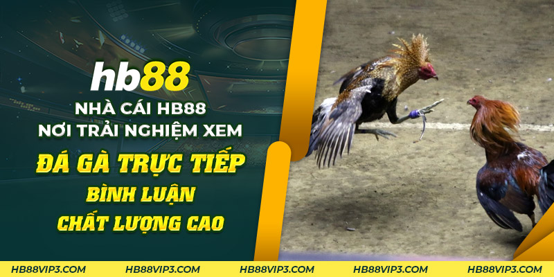 69 Nha cai HB88 Noi trai nghiem xem da ga truc tiep binh luan chat luong cao